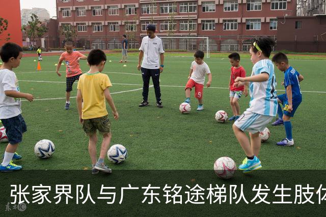 张家界队与广东铭途梯队发生肢体冲突，湖南省足协：暂停涉事人员参加省内一切足球活动